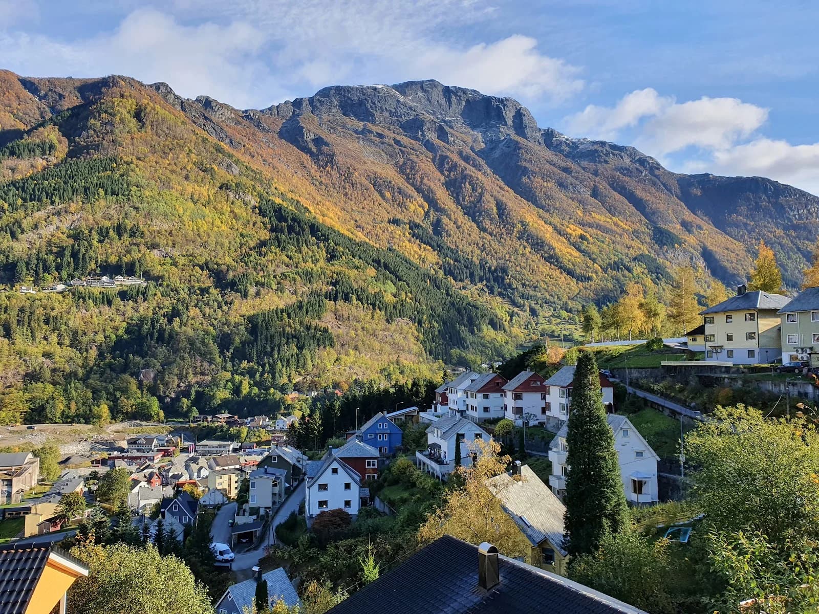 odda